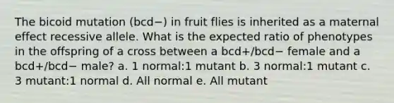 The bicoid mutation (bcd−) in fruit flies is inherited as a maternal effect recessive allele. What is the expected ratio of phenotypes in the offspring of a cross between a bcd+/bcd− female and a bcd+/bcd− male? a. 1 normal:1 mutant b. 3 normal:1 mutant c. 3 mutant:1 normal d. All normal e. All mutant