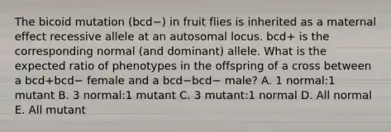 The bicoid mutation (bcd−) in fruit flies is inherited as a maternal effect recessive allele at an autosomal locus. bcd+ is the corresponding normal (and dominant) allele. What is the expected ratio of phenotypes in the offspring of a cross between a bcd+bcd− female and a bcd−bcd− male? A. 1 normal:1 mutant B. 3 normal:1 mutant C. 3 mutant:1 normal D. All normal E. All mutant