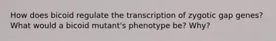 How does bicoid regulate the transcription of zygotic gap genes? What would a bicoid mutant's phenotype be? Why?