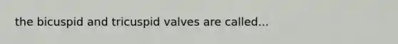the bicuspid and tricuspid valves are called...