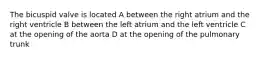 The bicuspid valve is located A between the right atrium and the right ventricle B between the left atrium and the left ventricle C at the opening of the aorta D at the opening of the pulmonary trunk