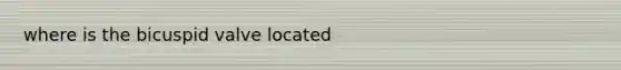 where is the bicuspid valve located