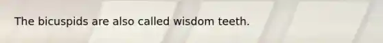 The bicuspids are also called wisdom teeth.