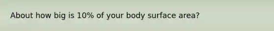 About how big is 10% of your body surface area?