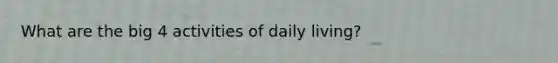 What are the big 4 activities of daily living?