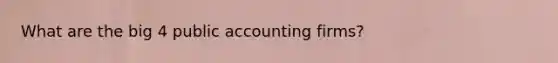 What are the big 4 public accounting firms?