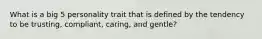 What is a big 5 personality trait that is defined by the tendency to be trusting, compliant, caring, and gentle?
