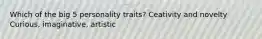 Which of the big 5 personality traits? Ceativity and novelty Curious, imaginative, artistic