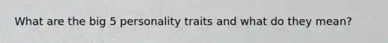What are the big 5 personality traits and what do they mean?