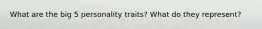 What are the big 5 personality traits? What do they represent?