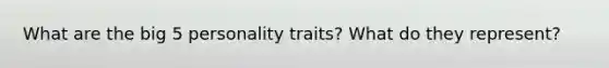 What are the big 5 personality traits? What do they represent?