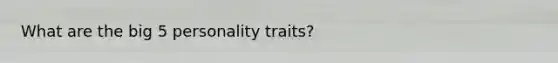 What are the big 5 personality traits?