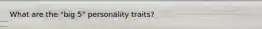 What are the "big 5" personality traits?