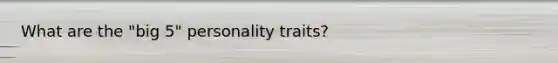 What are the "big 5" personality traits?