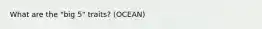 What are the "big 5" traits? (OCEAN)