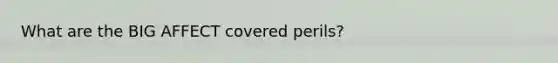 What are the BIG AFFECT covered perils?