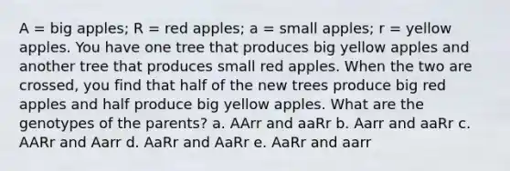 A = big apples; R = red apples; a = small apples; r = yellow apples. You have one tree that produces big yellow apples and another tree that produces small red apples. When the two are crossed, you find that half of the new trees produce big red apples and half produce big yellow apples. What are the genotypes of the parents? a. AArr and aaRr b. Aarr and aaRr c. AARr and Aarr d. AaRr and AaRr e. AaRr and aarr