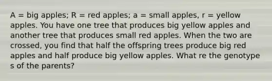 A = big apples; R = red apples; a = small apples, r = yellow apples. You have one tree that produces big yellow apples and another tree that produces small red apples. When the two are crossed, you find that half the offspring trees produce big red apples and half produce big yellow apples. What re the genotype s of the parents?