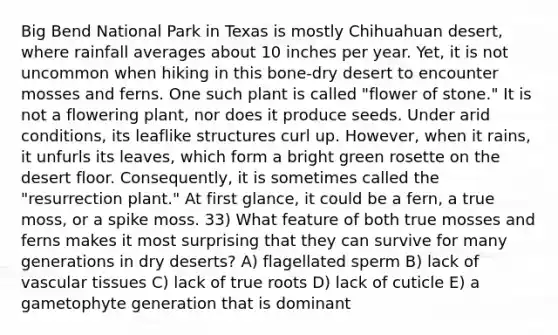 Big Bend National Park in Texas is mostly Chihuahuan desert, where rainfall averages about 10 inches per year. Yet, it is not uncommon when hiking in this bone-dry desert to encounter mosses and ferns. One such plant is called "flower of stone." It is not a flowering plant, nor does it produce seeds. Under arid conditions, its leaflike structures curl up. However, when it rains, it unfurls its leaves, which form a bright green rosette on the desert floor. Consequently, it is sometimes called the "resurrection plant." At first glance, it could be a fern, a true moss, or a spike moss. 33) What feature of both true mosses and ferns makes it most surprising that they can survive for many generations in dry deserts? A) flagellated sperm B) lack of vascular tissues C) lack of true roots D) lack of cuticle E) a gametophyte generation that is dominant