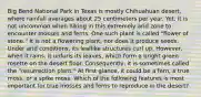 Big Bend National Park in Texas is mostly Chihuahuan desert, where rainfall averages about 25 centimeters per year. Yet, it is not uncommon when hiking in this extremely arid zone to encounter mosses and ferns. One such plant is called "flower of stone." It is not a flowering plant, nor does it produce seeds. Under arid conditions, its leaflike structures curl up. However, when it rains, it unfurls its leaves, which form a bright green rosette on the desert floor. Consequently, it is sometimes called the "resurrection plant." At first glance, it could be a fern, a true moss, or a spike moss. Which of the following features is most important for true mosses and ferns to reproduce in the desert?