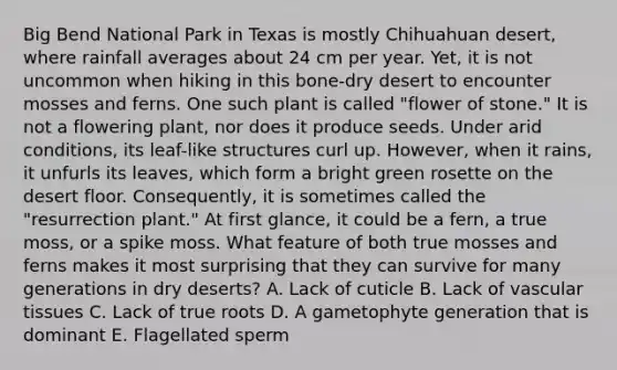 Big Bend National Park in Texas is mostly Chihuahuan desert, where rainfall averages about 24 cm per year. Yet, it is not uncommon when hiking in this bone-dry desert to encounter mosses and ferns. One such plant is called "flower of stone." It is not a flowering plant, nor does it produce seeds. Under arid conditions, its leaf-like structures curl up. However, when it rains, it unfurls its leaves, which form a bright green rosette on the desert floor. Consequently, it is sometimes called the "resurrection plant." At first glance, it could be a fern, a true moss, or a spike moss. What feature of both true mosses and ferns makes it most surprising that they can survive for many generations in dry deserts? A. Lack of cuticle B. Lack of <a href='https://www.questionai.com/knowledge/k1HVFq17mo-vascular-tissue' class='anchor-knowledge'>vascular tissue</a>s C. Lack of true roots D. A gametophyte generation that is dominant E. Flagellated sperm