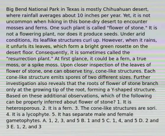 Big Bend National Park in Texas is mostly Chihuahuan desert, where rainfall averages about 10 inches per year. Yet, it is not uncommon when hiking in this bone-dry desert to encounter mosses and ferns. One such plant is called "flower of stone." It is not a flowering plant, nor does it produce seeds. Under arid conditions, its leaflike structures curl up. However, when it rains, it unfurls its leaves, which form a bright green rosette on the desert floor. Consequently, it is sometimes called the "resurrection plant." At first glance, it could be a fern, a true moss, or a spike moss. Upon closer inspection of the leaves of flower of stone, one can observe tiny, cone-like structures. Each cone-like structure emits spores of two different sizes. Further investigation also reveals that the roots of flower of stone branch only at the growing tip of the root, forming a Y-shaped structure. Based on these additional observations, which of the following can be properly inferred about flower of stone? 1. It is heterosporous. 2. It is a fern. 3. The cone-like structures are sori. 4. It is a lycophyte. 5. It has separate male and female gametophytes. A. 1, 2, 3, and 5 B. 1 and 5 C. 1, 4, and 5 D. 2 and 3 E. 1, 2, and 3