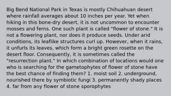 Big Bend National Park in Texas is mostly Chihuahuan desert where rainfall averages about 10 inches per year. Yet when hiking in this bone-dry desert, it is not uncommon to encounter mosses and ferns. One such plant is called "flower of stone." It is not a flowering plant, nor does it produce seeds. Under arid conditions, its leaflike structures curl up. However, when it rains, it unfurls its leaves, which form a bright green rosette on the desert floor. Consequently, it is sometimes called the "resurrection plant." In which combination of locations would one who is searching for the gametophytes of flower of stone have the best chance of finding them? 1. moist soil 2. underground, nourished there by symbiotic fungi 3. permanently shady places 4. far from any flower of stone sporophytes