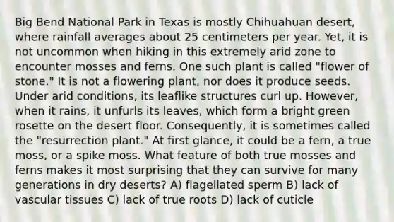 Big Bend National Park in Texas is mostly Chihuahuan desert, where rainfall averages about 25 centimeters per year. Yet, it is not uncommon when hiking in this extremely arid zone to encounter mosses and ferns. One such plant is called "flower of stone." It is not a flowering plant, nor does it produce seeds. Under arid conditions, its leaflike structures curl up. However, when it rains, it unfurls its leaves, which form a bright green rosette on the desert floor. Consequently, it is sometimes called the "resurrection plant." At first glance, it could be a fern, a true moss, or a spike moss. What feature of both true mosses and ferns makes it most surprising that they can survive for many generations in dry deserts? A) flagellated sperm B) lack of vascular tissues C) lack of true roots D) lack of cuticle