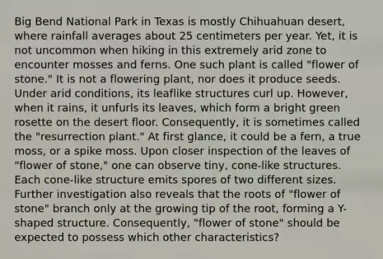 Big Bend National Park in Texas is mostly Chihuahuan desert, where rainfall averages about 25 centimeters per year. Yet, it is not uncommon when hiking in this extremely arid zone to encounter mosses and ferns. One such plant is called "flower of stone." It is not a flowering plant, nor does it produce seeds. Under arid conditions, its leaflike structures curl up. However, when it rains, it unfurls its leaves, which form a bright green rosette on the desert floor. Consequently, it is sometimes called the "resurrection plant." At first glance, it could be a fern, a true moss, or a spike moss. Upon closer inspection of the leaves of "flower of stone," one can observe tiny, cone-like structures. Each cone-like structure emits spores of two different sizes. Further investigation also reveals that the roots of "flower of stone" branch only at the growing tip of the root, forming a Y-shaped structure. Consequently, "flower of stone" should be expected to possess which other characteristics?