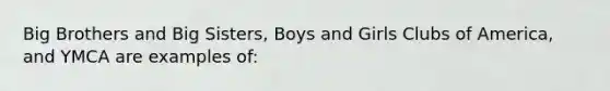 Big Brothers and Big Sisters, Boys and Girls Clubs of America, and YMCA are examples of: