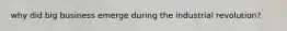 why did big business emerge during the industrial revolution?