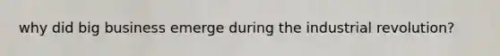 why did big business emerge during the industrial revolution?