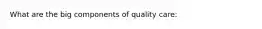 What are the big components of quality care:
