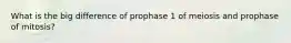 What is the big difference of prophase 1 of meiosis and prophase of mitosis?