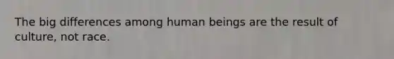 The big differences among human beings are the result of culture, not race.