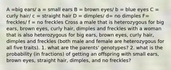 A =big ears/ a = small ears B = brown eyes/ b = blue eyes C = curly hair/ c = straight hair D = dimples/ d= no dimples F= freckles/ f = no freckles Cross a male that is heterozygous for big ears, brown eyes, curly hair, dimples and freckles with a woman that is also heterozygous for big ears, brown eyes, curly hair, dimples and freckles (both male and female are heterozygous for all five traits). 1. what are the parents' genotypes? 2. what is the probability (in fractions) of getting an offspring with small ears, brown eyes, straight hair, dimples, and no freckles?