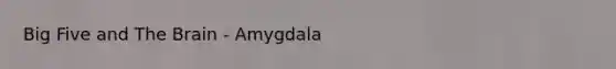 Big Five and The Brain - Amygdala