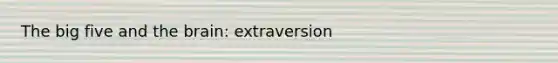 The big five and the brain: extraversion