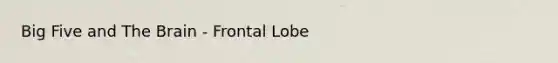 Big Five and The Brain - Frontal Lobe
