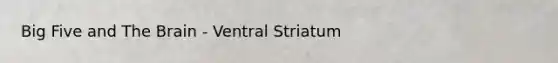 Big Five and The Brain - Ventral Striatum