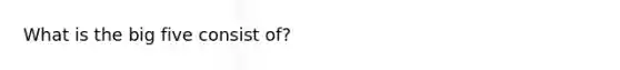What is the big five consist of?