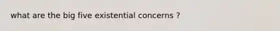 what are the big five existential concerns ?