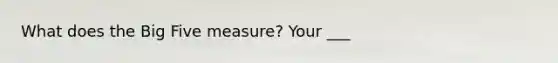 What does the Big Five measure? Your ___