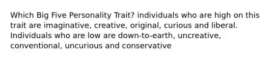 Which Big Five Personality Trait? individuals who are high on this trait are imaginative, creative, original, curious and liberal. Individuals who are low are down-to-earth, uncreative, conventional, uncurious and conservative