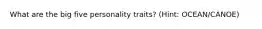 What are the big five personality traits? (Hint: OCEAN/CANOE)