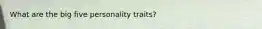 What are the big five personality traits?