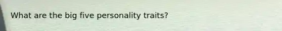 What are the big five personality traits?