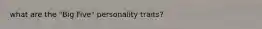 what are the "Big Five" personality traits?