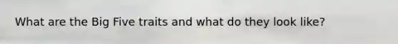 What are the Big Five traits and what do they look like?