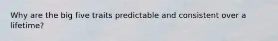 Why are the big five traits predictable and consistent over a lifetime?